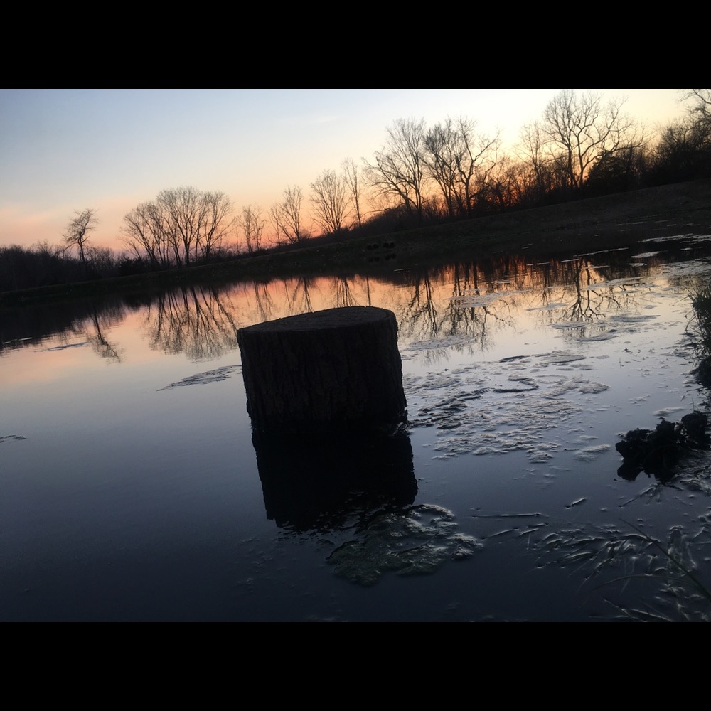 Meet your Posher, Kyle